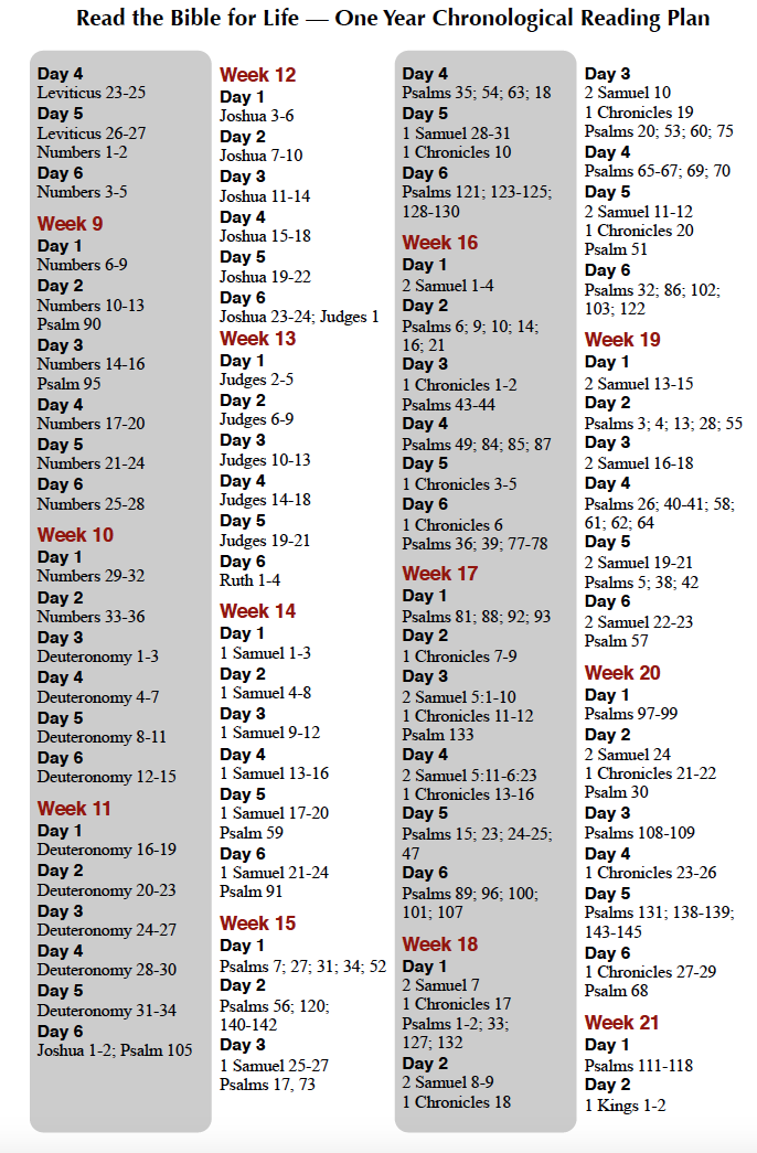 Adaptable Read the Bible in a Year Chronological Printable Wade Website