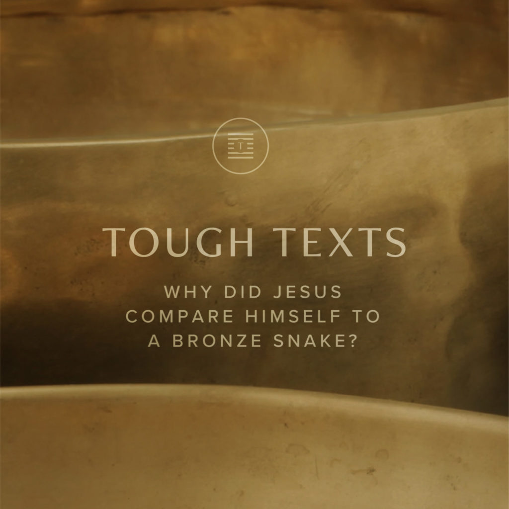 Tough Texts - Bronze Snake