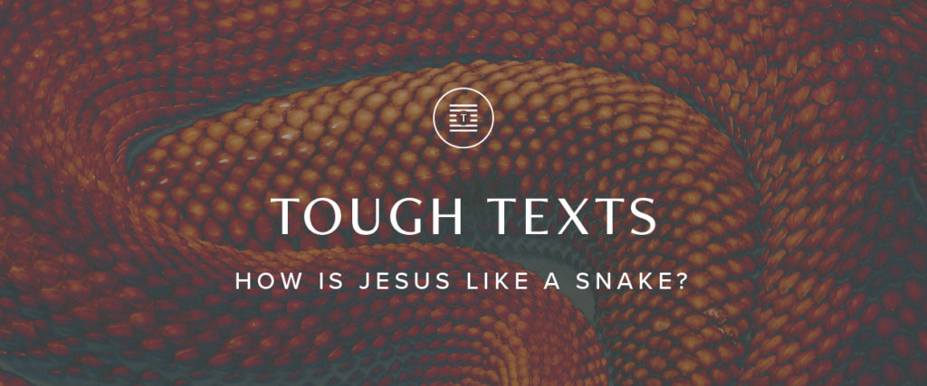 How is Jesus like a Snake?