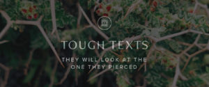 Tough Texts: They Will Look at the One They Pierced