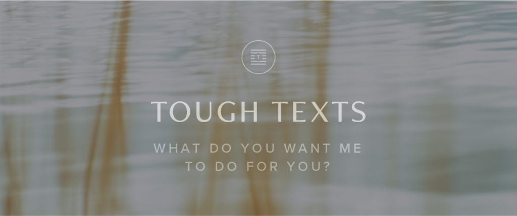 Tough Texts: What do you want me to do for you?