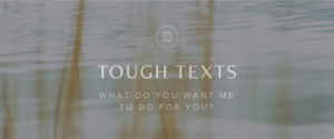 Tough Texts: What do you want me to do for you?