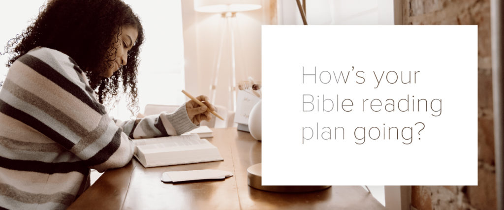 How's your Bible reading plan going?