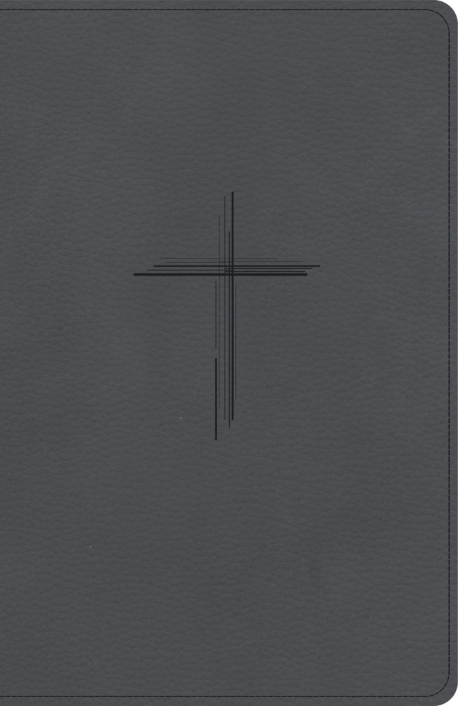 CSB Personal Size Giant Print Bible, Digital Study Edition, Charcoal